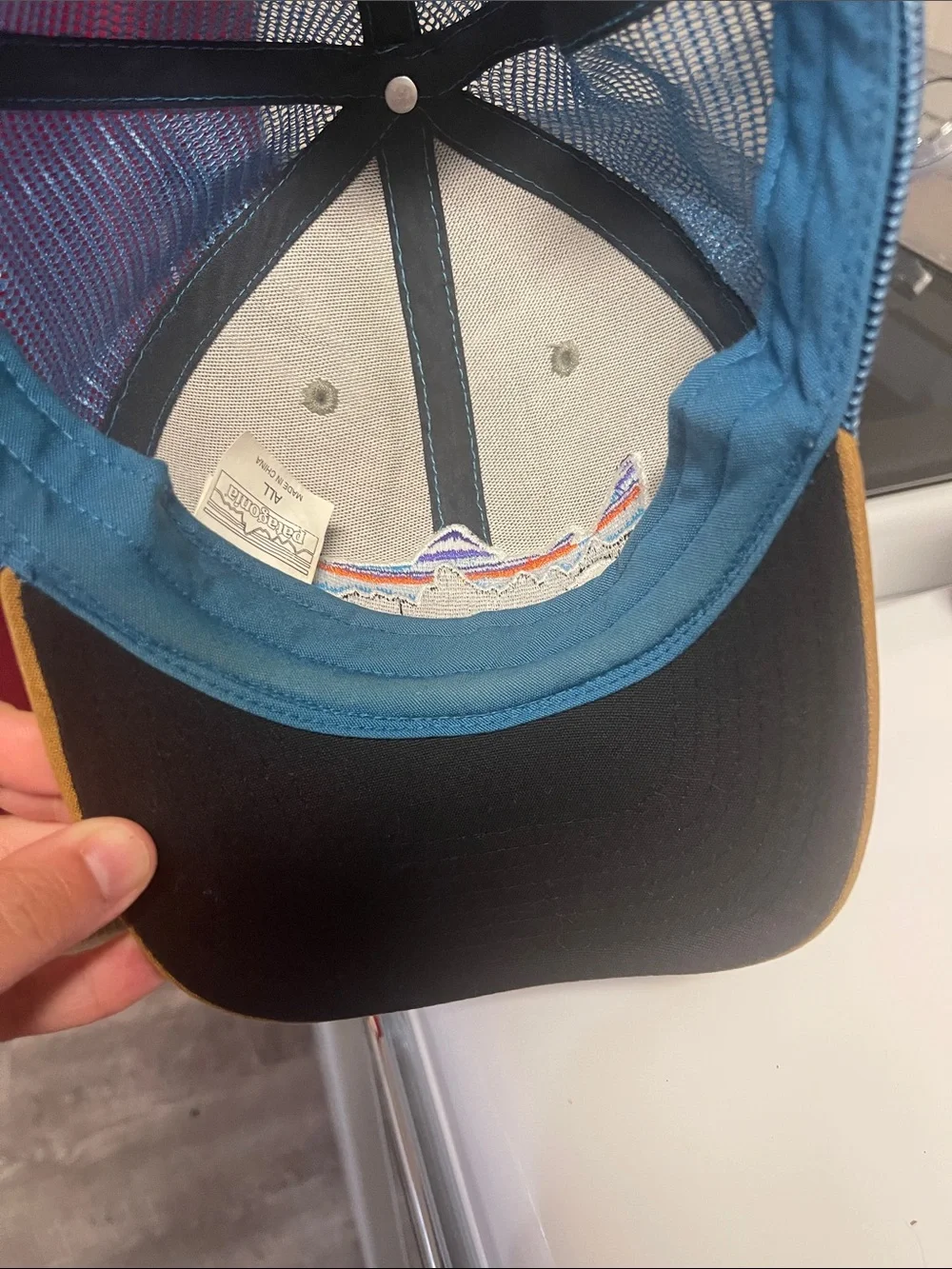 Trucker Hat with Colorful Fish Patch - Patagonia